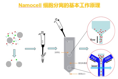 20171109-436547919.jpg 2.jpg