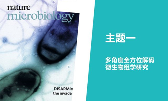 15216122832667.jpg 1.jpg