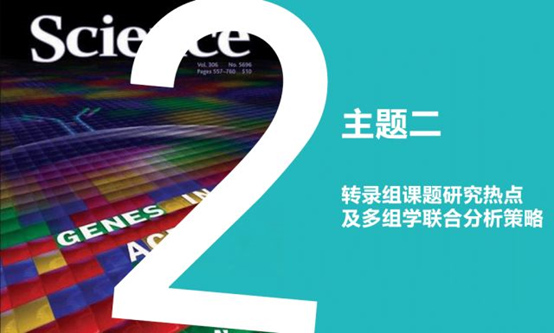 15216122911786.jpg 2.jpg