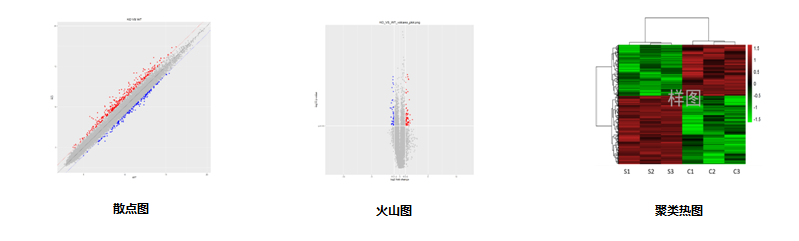 15318926244470.png blob.png