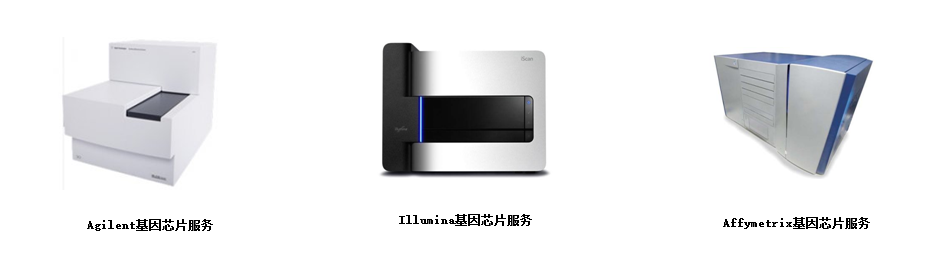 15318929231882.png blob.png