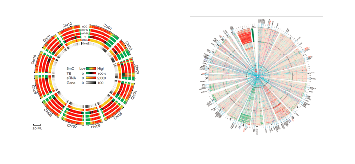 15318995251547.png blob.png