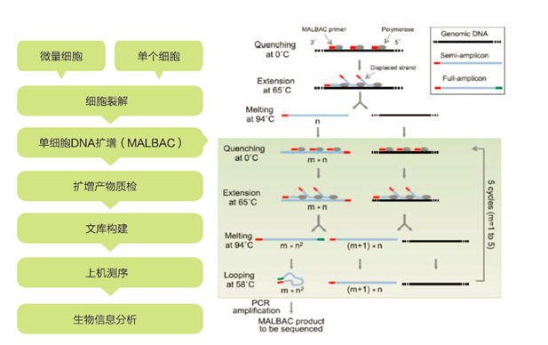 15319043865142.png blob.png