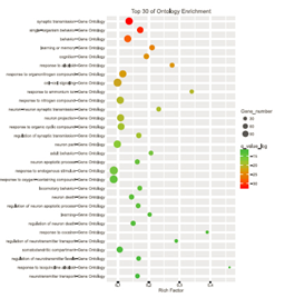 15319050224768.png blob.png