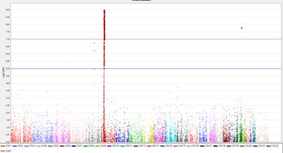 15319051508425.png blob.png