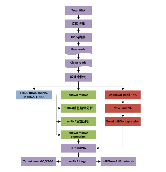 15319621389171.png blob.png