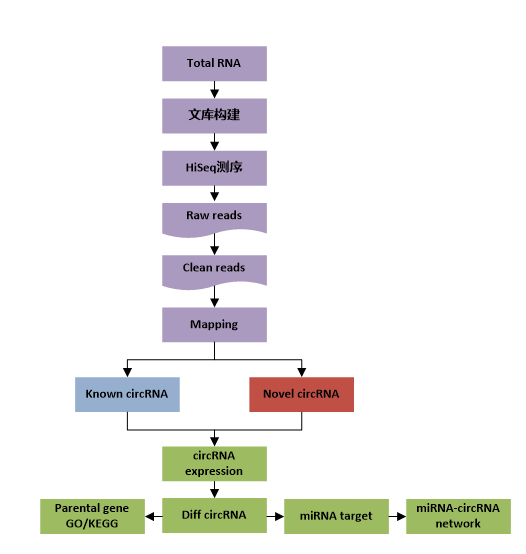 15319630284151.png blob.png