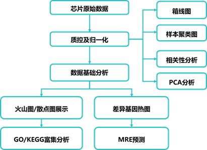 15319667593105.png blob.png