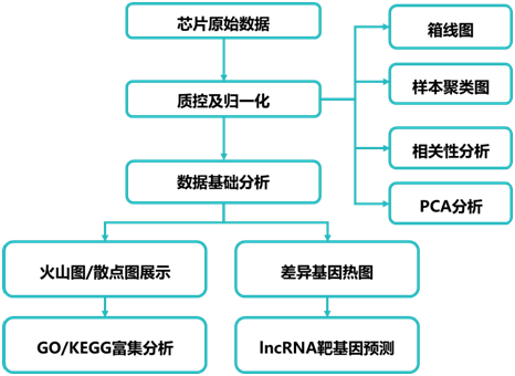 15319680855658.png blob.png