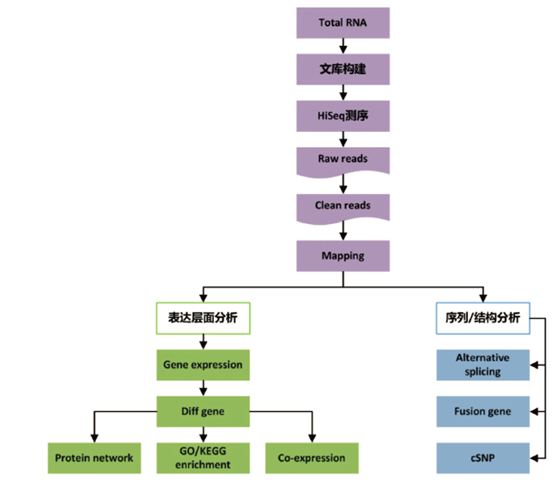 15323941551552.png image.png