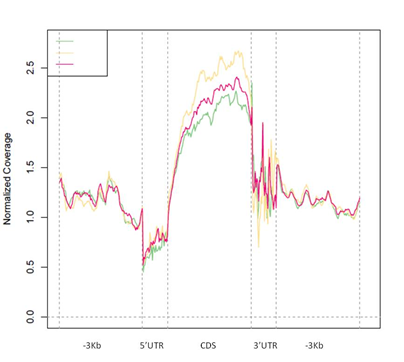 15324161413625.png blob.png