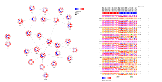 15344040931091.png image.png