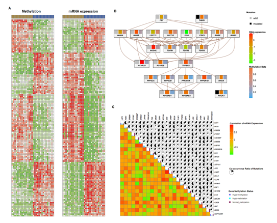 15344679414016.png image.png