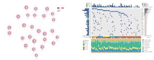 15344682124166.png image.png