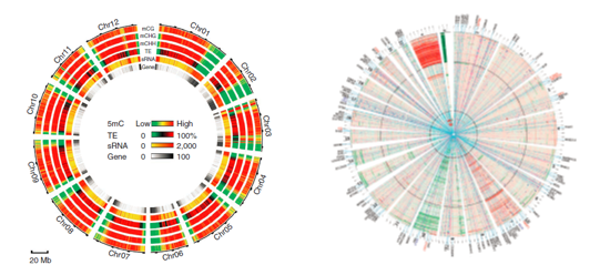 15347308986402.png image.png