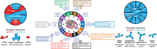 15422476558298.png image.png