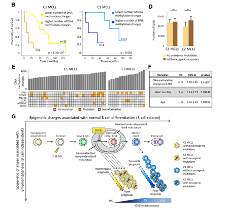 15422482629747.png image.png