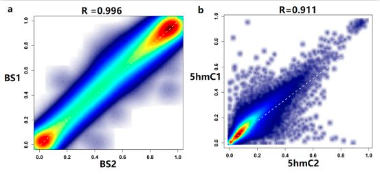 15758597282192.png image.png