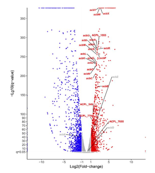 15758623388169.png image.png