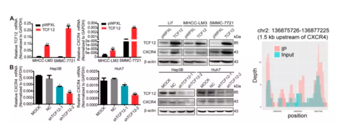 15758799686002.png image.png