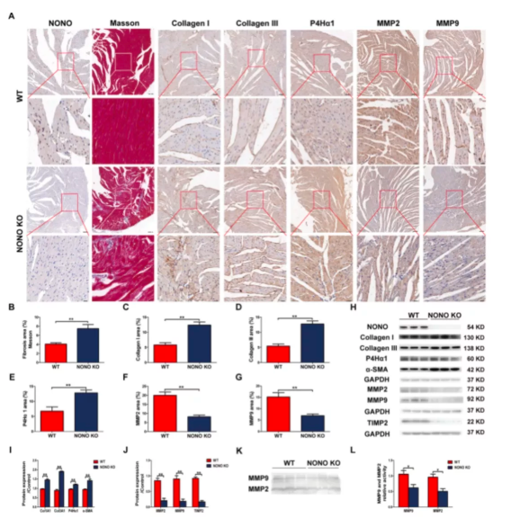 15758807085354.png image.png