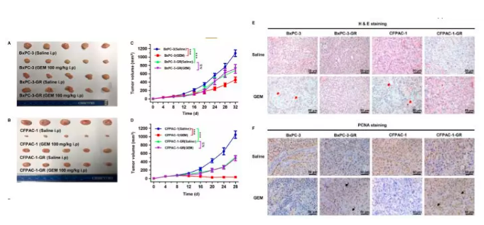 15828074584973.png image.png