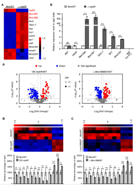 15828081755045.png image.png