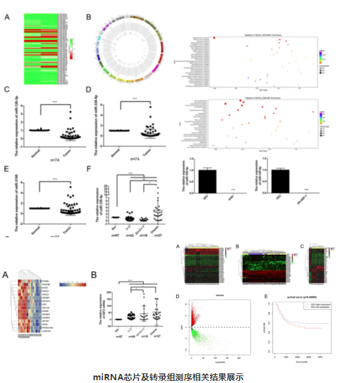 15828086685918.png image.png