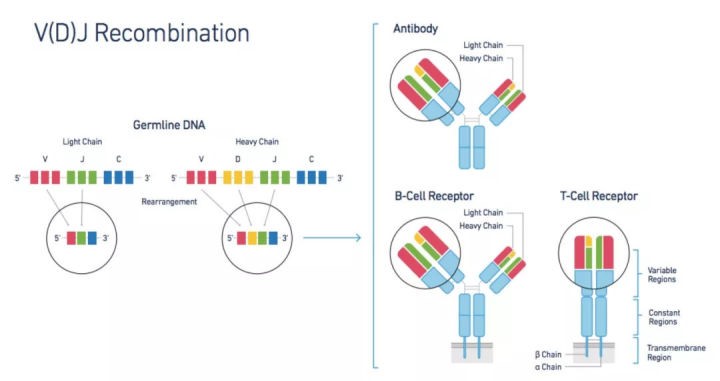 15828634873181.jpg 15828634873181.jpg