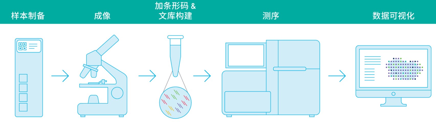 15828640803528.jpg 15828640803528.jpg