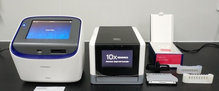 16111276323740.jpg 112.jpg