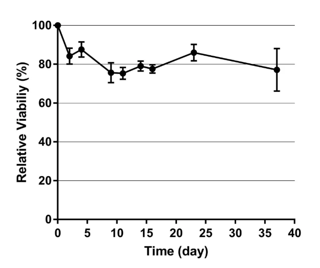 15758615149117.png image.png