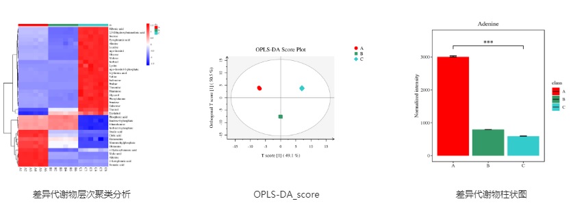 16117128018188.jpg 112.jpg