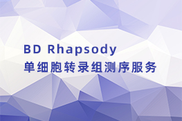 BD Rhapsody单细胞转录组测序服务