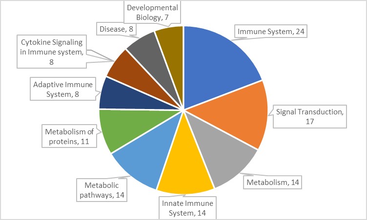 16209066789875.jpg 16209066789875.jpg