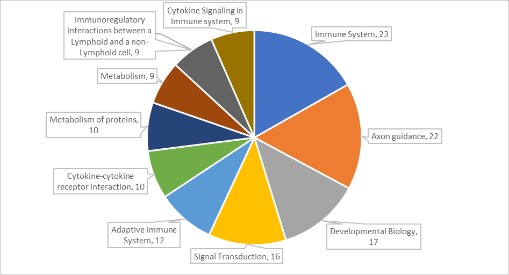 16209088841436.jpg 2.jpg