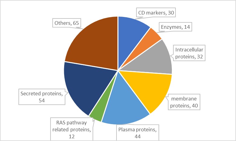 16209095702702.jpg 16209095702702.jpg