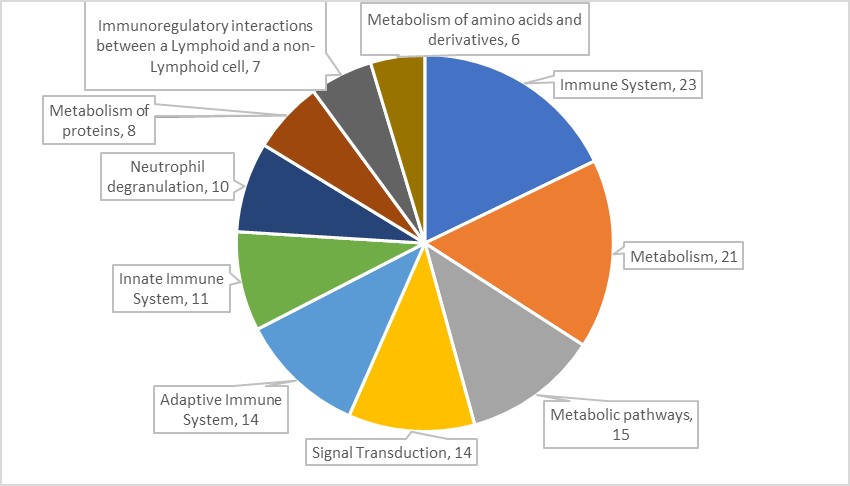 16209119927962.jpg 16209119927962.jpg