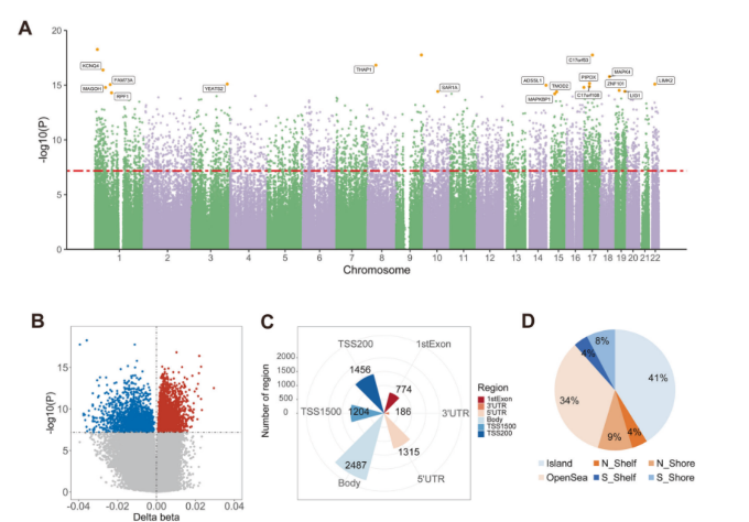 16212364739720.png image.png