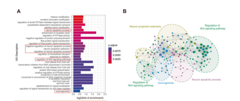 16212372564506.png image.png