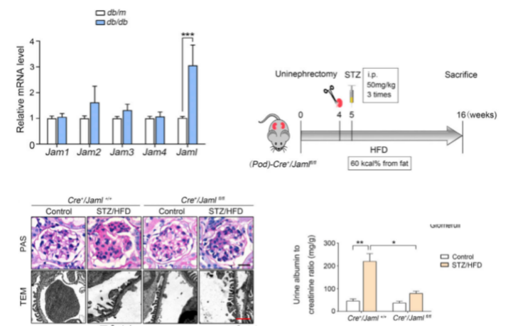 16212406391028.png image.png