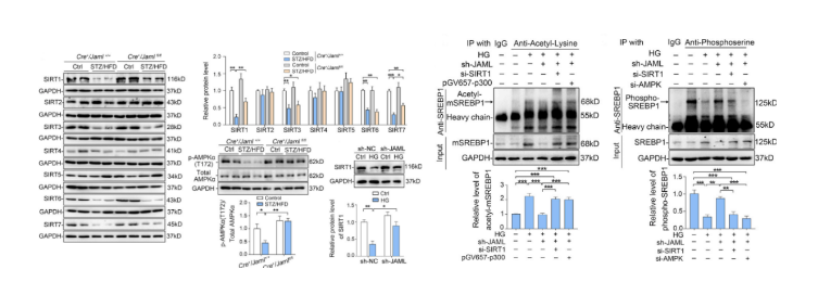 16212408242652.png image.png