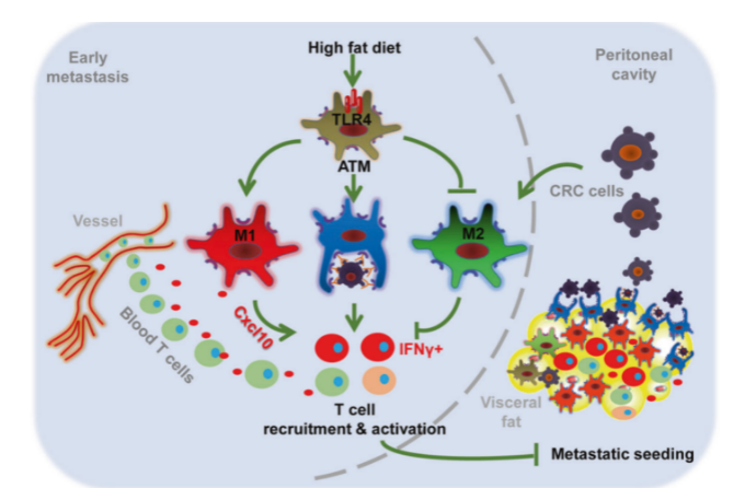 16213263252405.png image.png