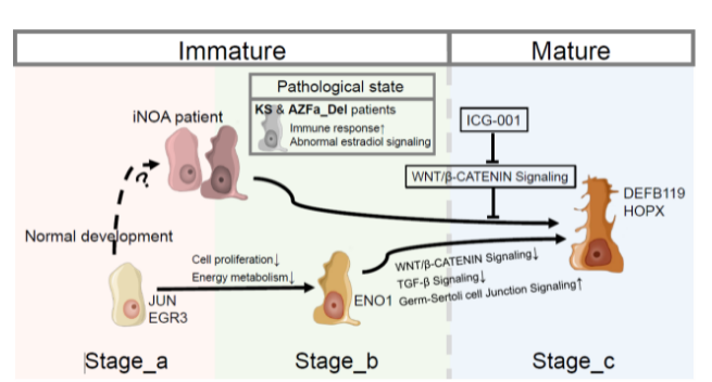 16213266605260.png image.png