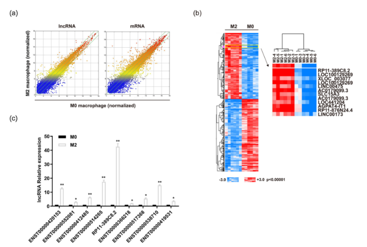 16213271992248.png image.png