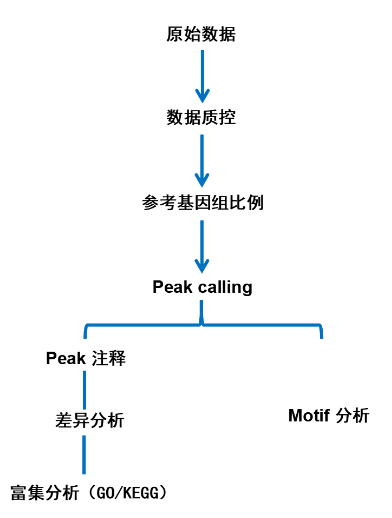 16213979189696.png image.png