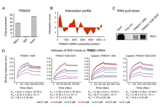 16213979851085.png image.png