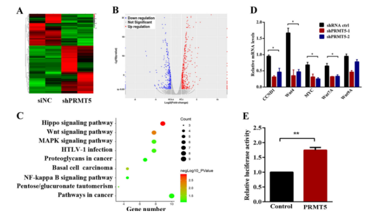 16214029568783.png image.png