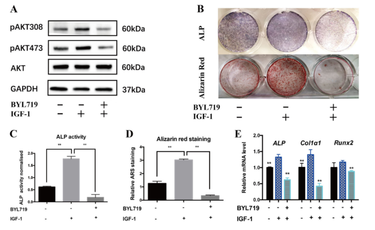 16214031669884.png image.png