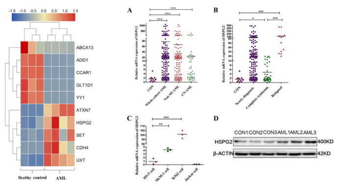 16214033334555.png image.png